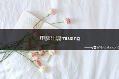 ​电脑出现missing operation system怎么办
