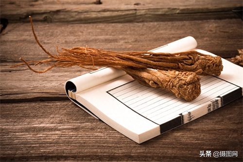 中药材图集｜常见的中药材到底长啥样？最后一种多数人没听过