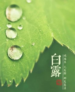 ​白露节气唯美高清大图
