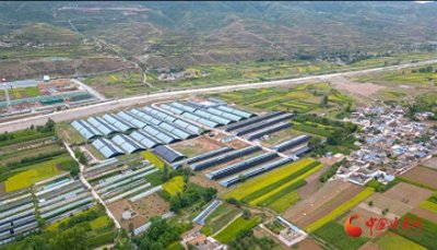 ​漳县：按下和美乡村建设“加速键”