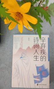 ​辛弃疾：男儿到死心如铁，看试手，补天裂