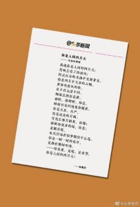 ​林徽因与《我们太太的客厅》