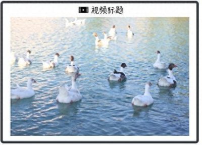 ​明天发布！699美元、每月24美元订阅、内置ChatGPT、没有屏幕，这个产品真能